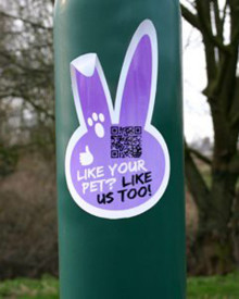 Dierenkliniek stickers
