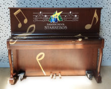 Specialties_piano_basisschool Starrebos_Hilvarenbeek